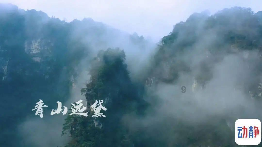 “小巨人”如何长成参天大树？山西省人大代表这样说