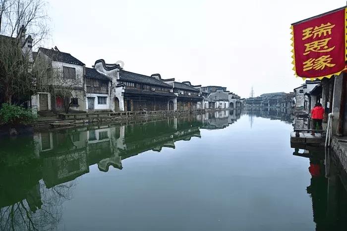 拯救树精灵